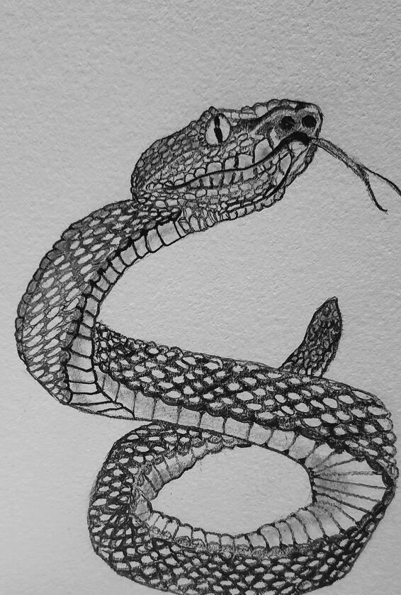 Razzy the Snake