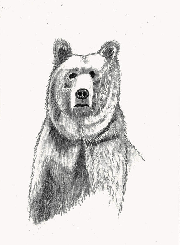 Lucifer the Bear