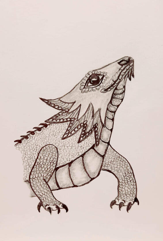 Sizzle the Bearded Dragon